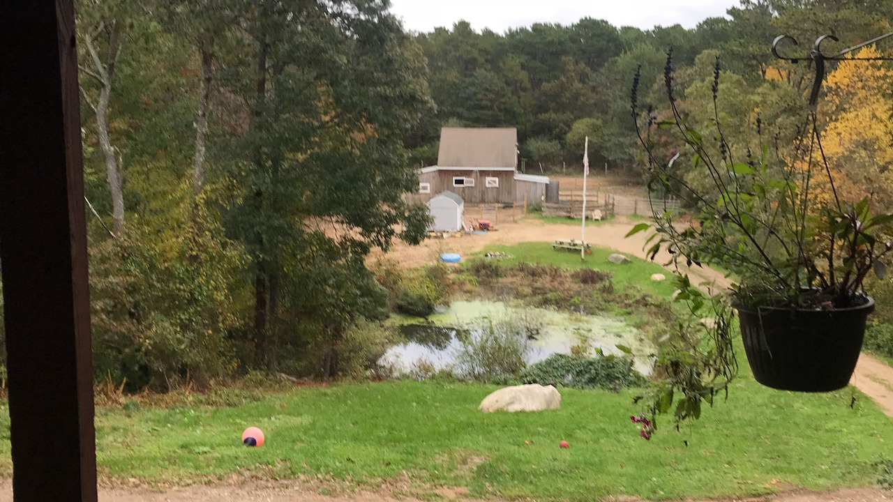 Photo of Outdoor in West Brewster