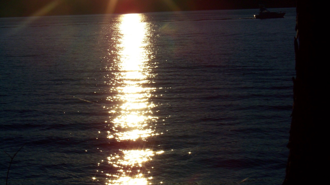 Photo of Others in North Lake George