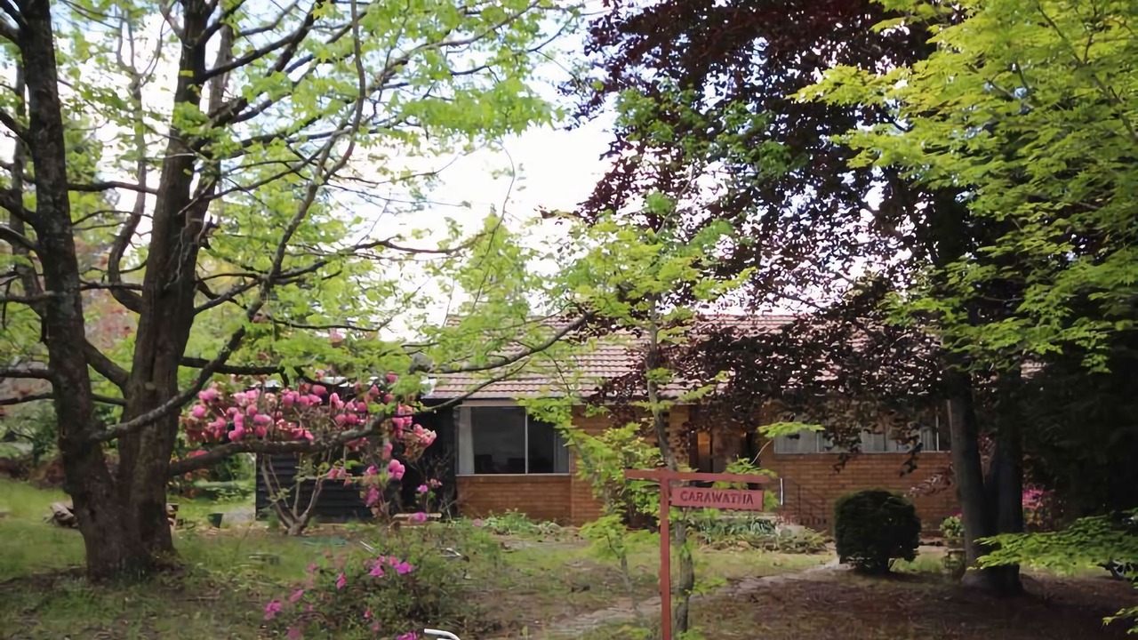 Photo of Outdoor in Blackheath