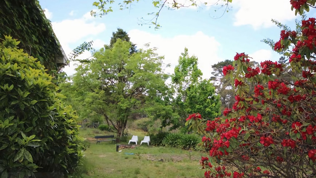 Photo of Outdoor in Blackheath