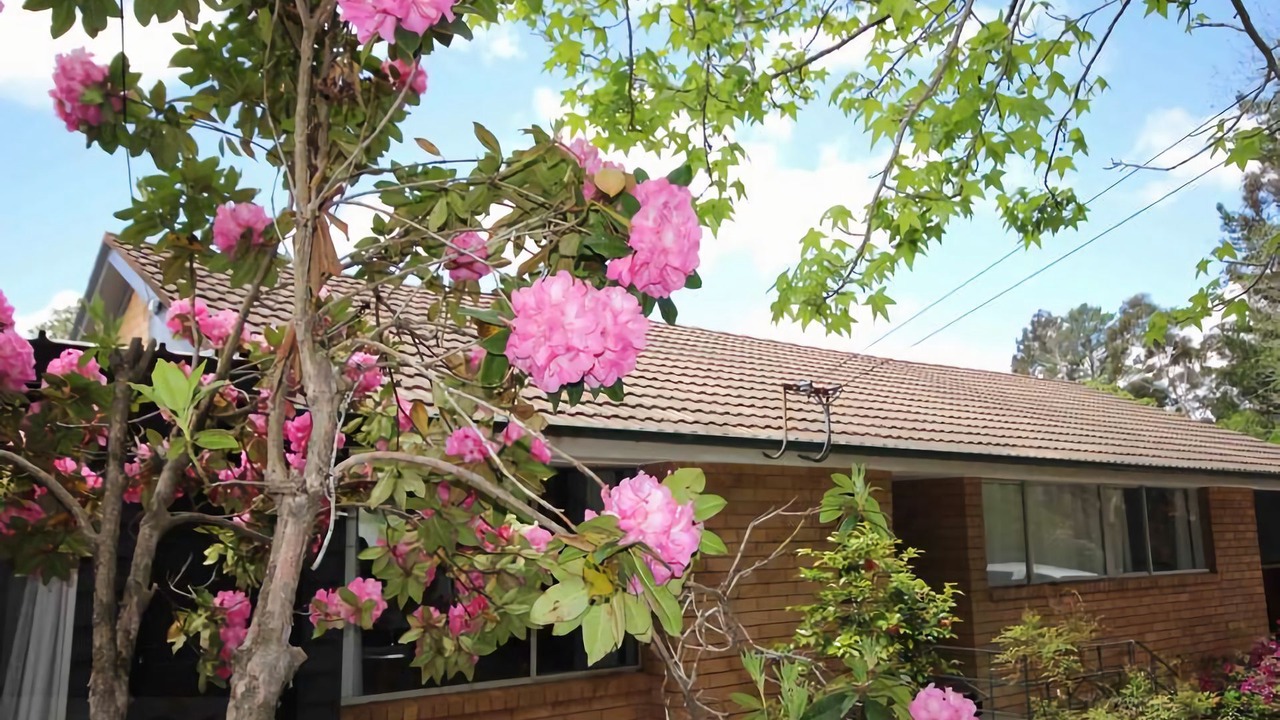 Photo of Outdoor in Blackheath