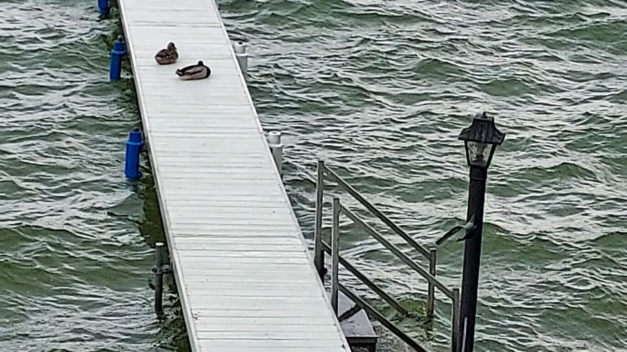 Photo of Outdoor in LaGrange