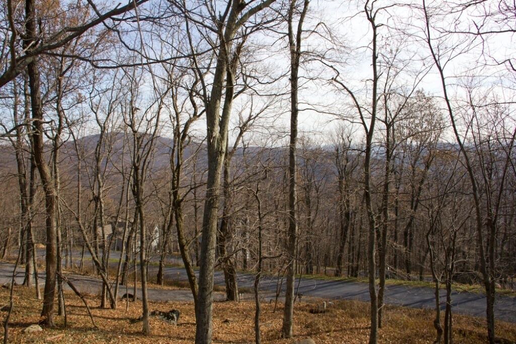Photo of Others in Chestnut Springs