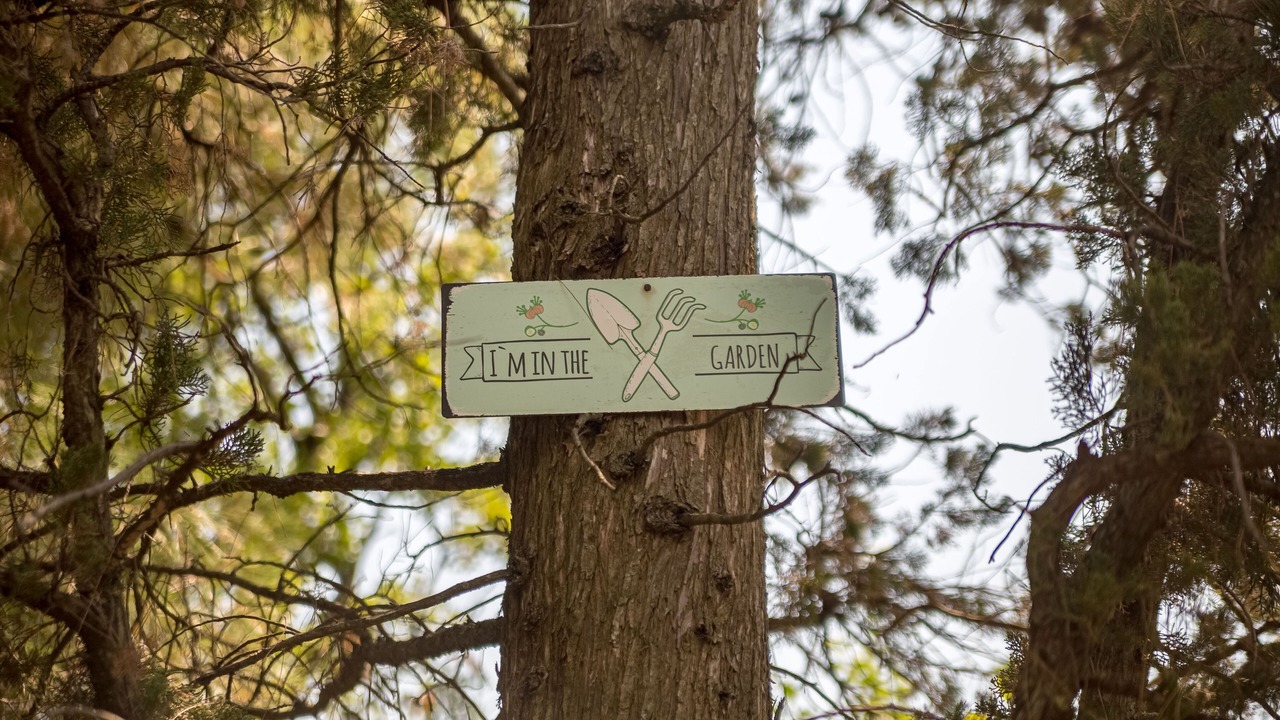 Photo of Outdoor in Municipality of Omisalj