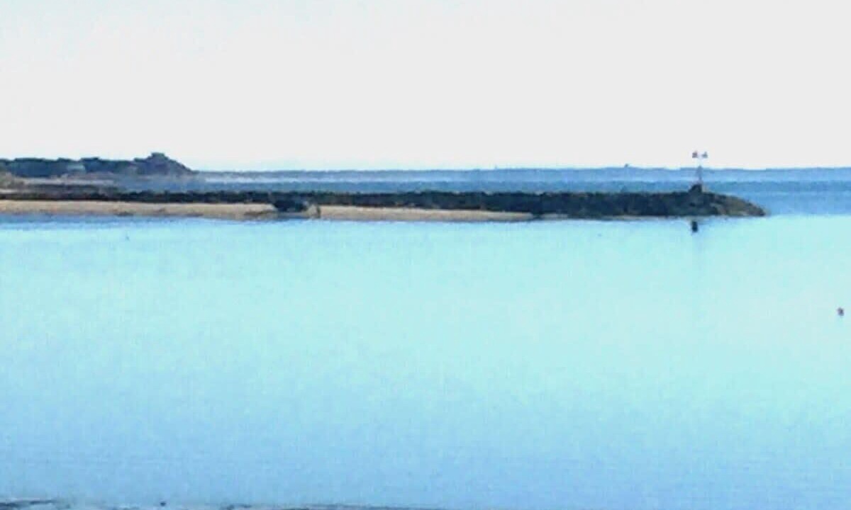 Photo of Others in Wellfleet