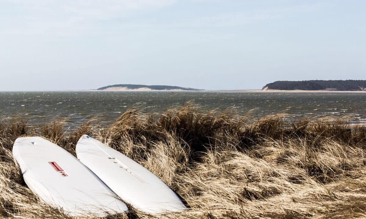 Photo of Others in Wellfleet