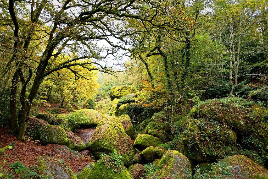Photo of Outdoor in Treffiagat