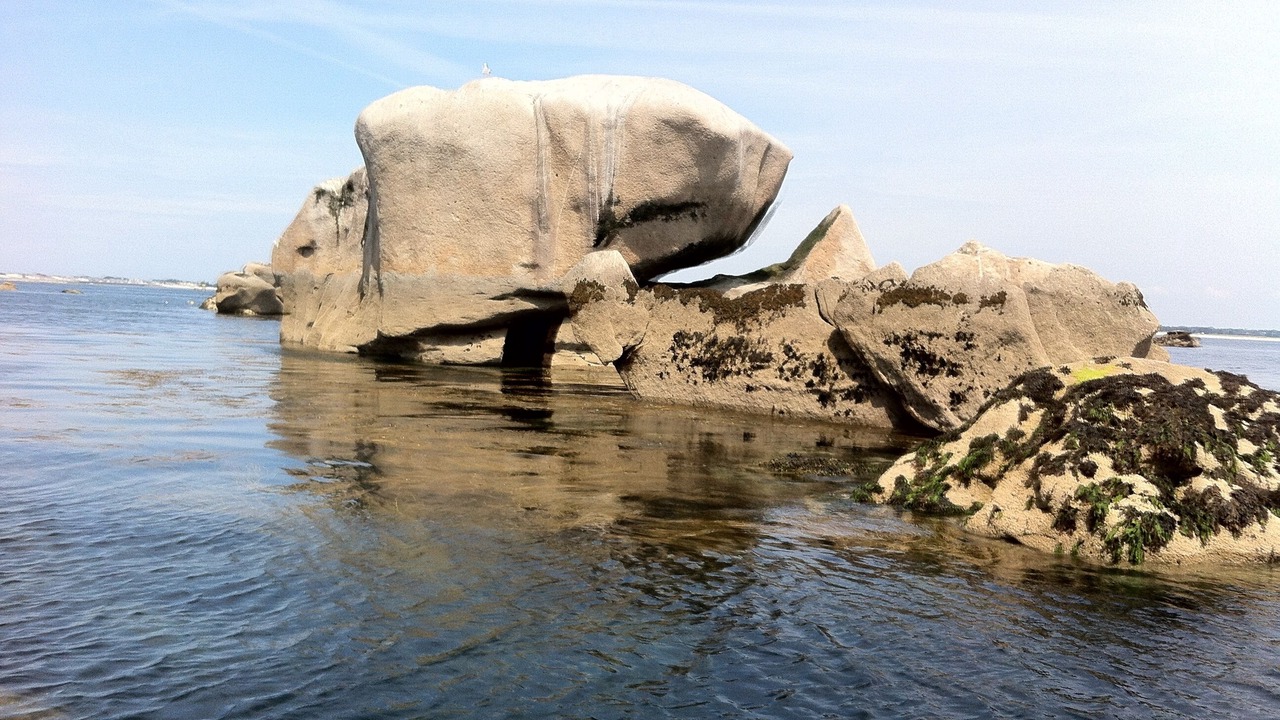 Photo of Others in Treffiagat