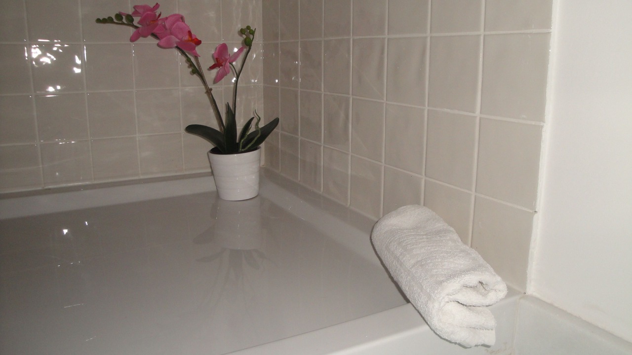 Photo of Bathroom in Centro / Baixa