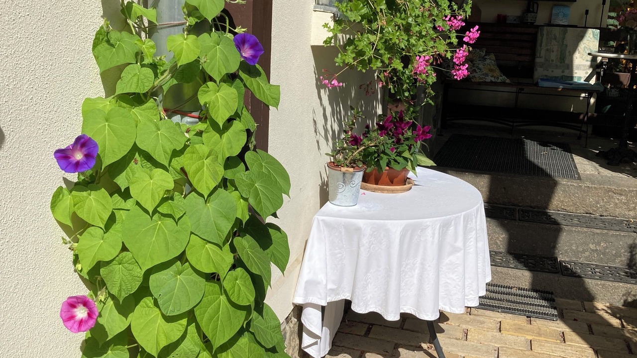 Photo of Outdoor in Eutritzsch