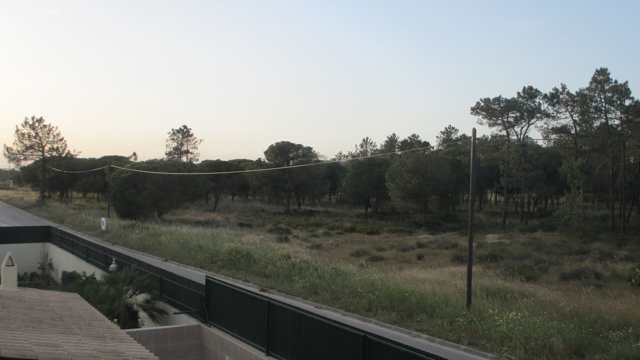 Photo of Outdoor in Gambelas