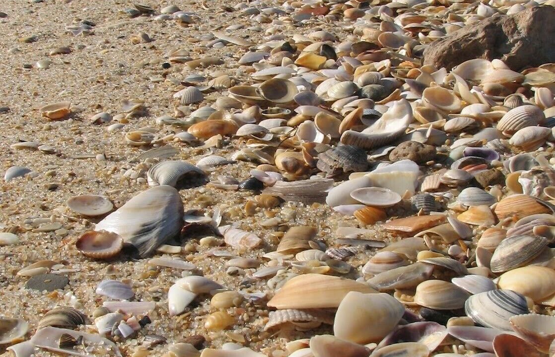 Photo of Others in Tavira