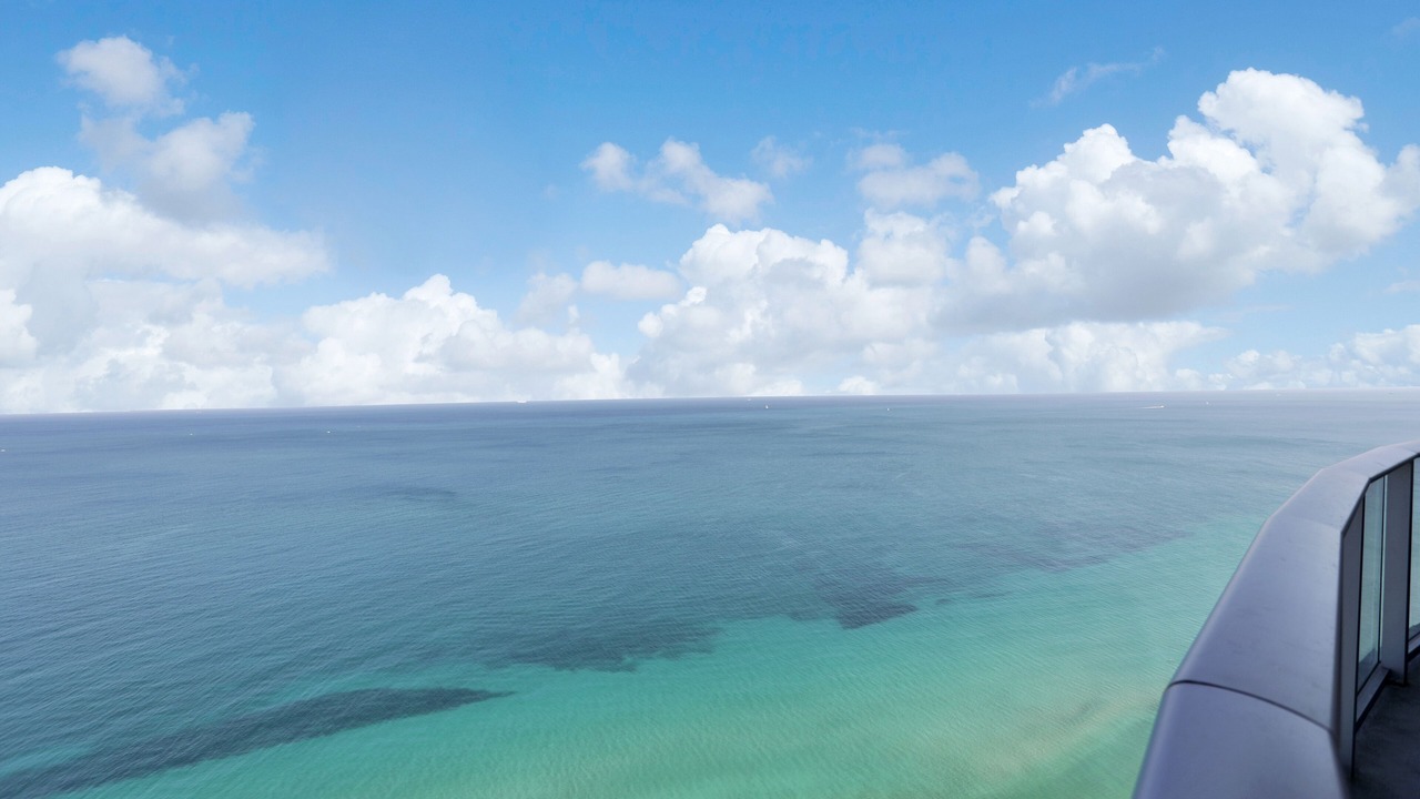 Photo of Others in Hallandale Beach
