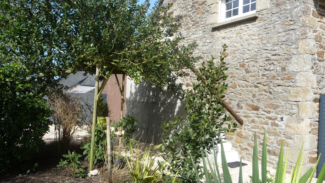 Photo of Outdoor in Pluduno