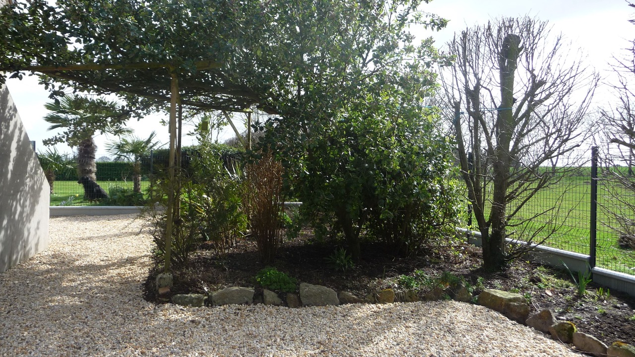 Photo of Outdoor in Pluduno