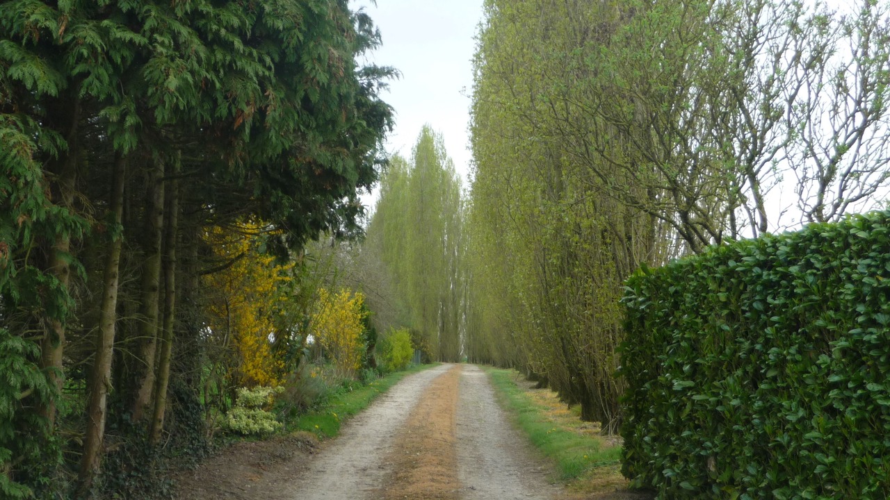 Photo of Outdoor in Pluduno