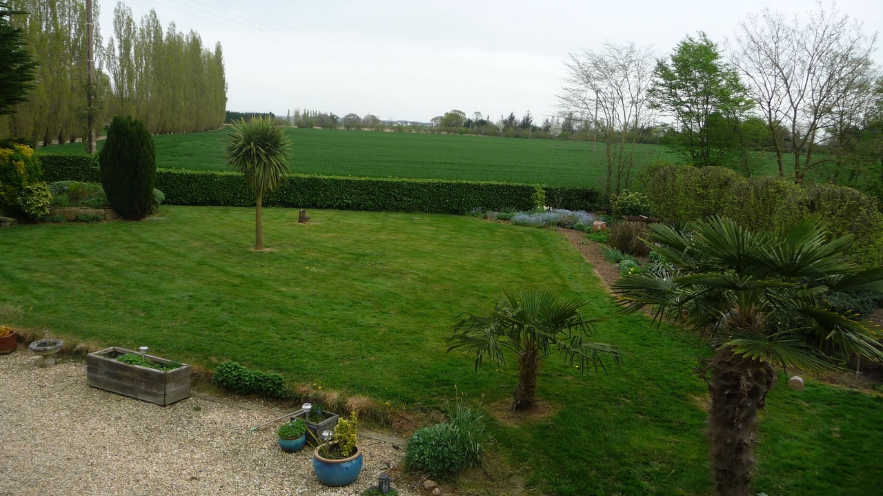 Photo of Outdoor in Pluduno