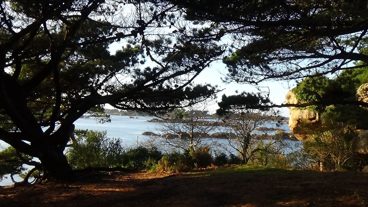 Photo of Outdoor in Perros-Guirec