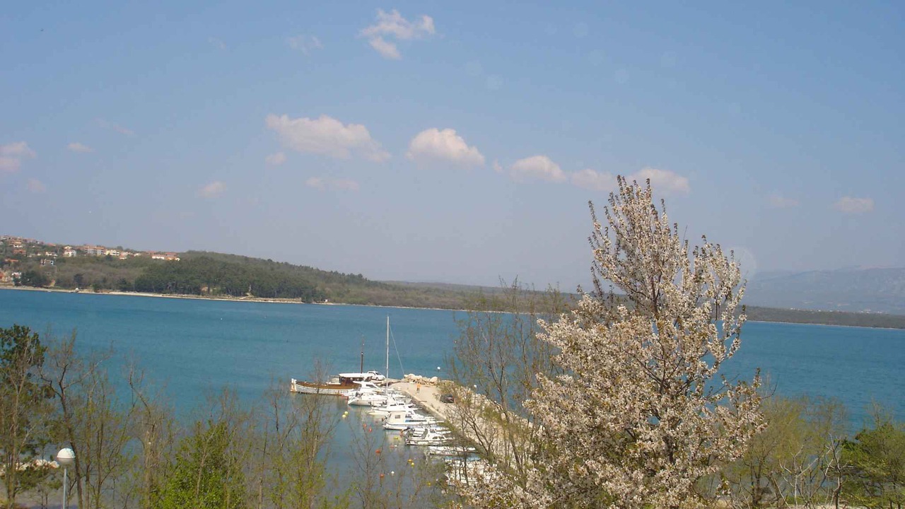 Photo of Others in Soline