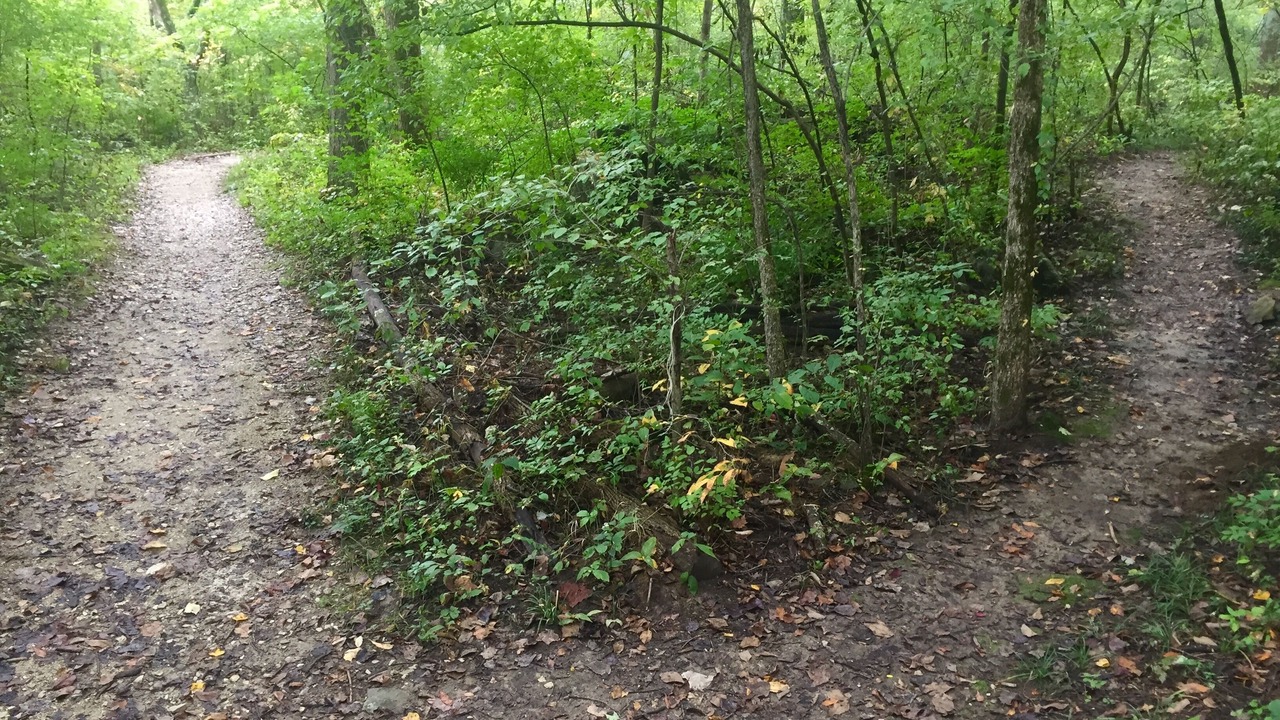 Photo of Others in Bloomington