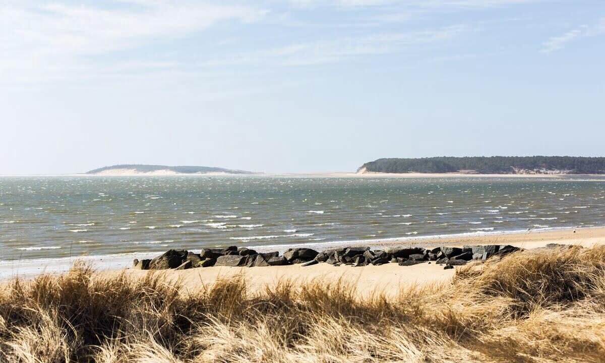 Photo of Others in Wellfleet