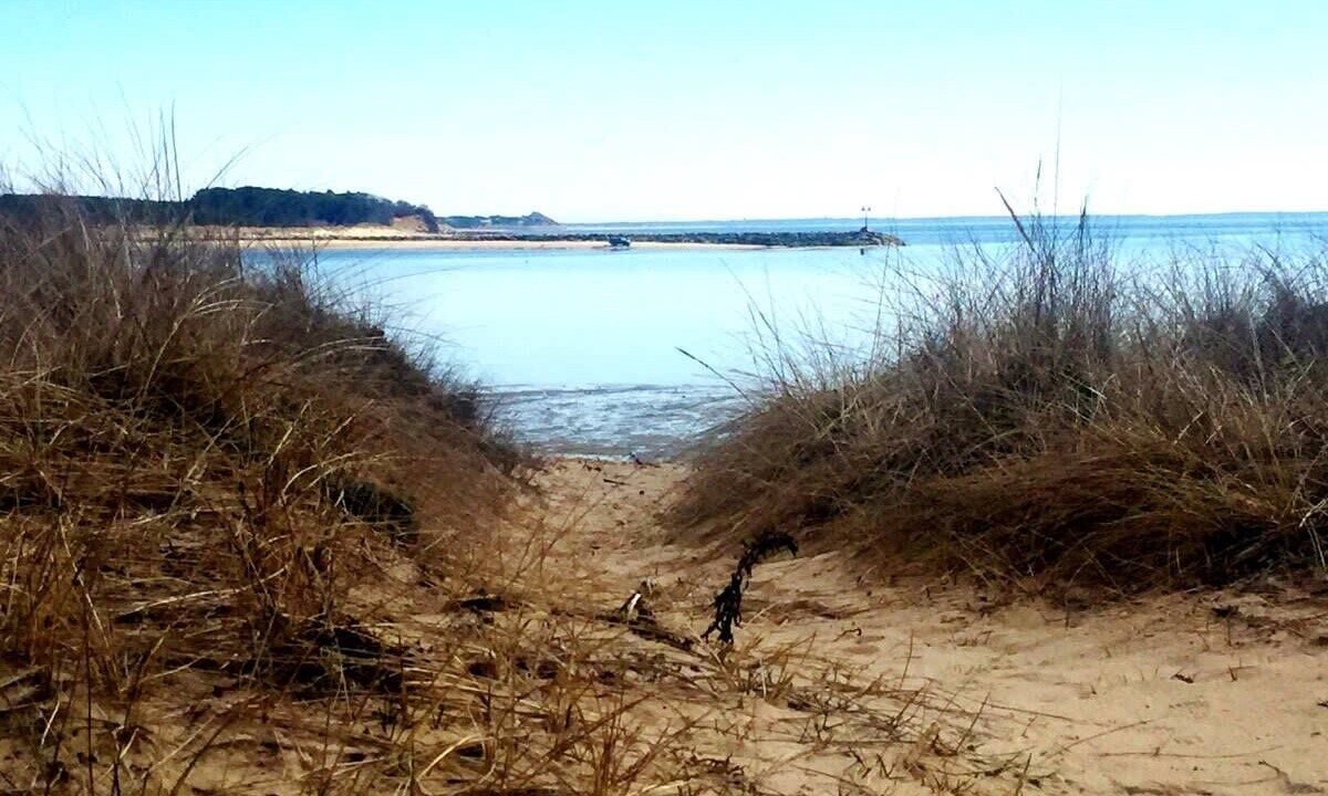 Photo of Others in Wellfleet