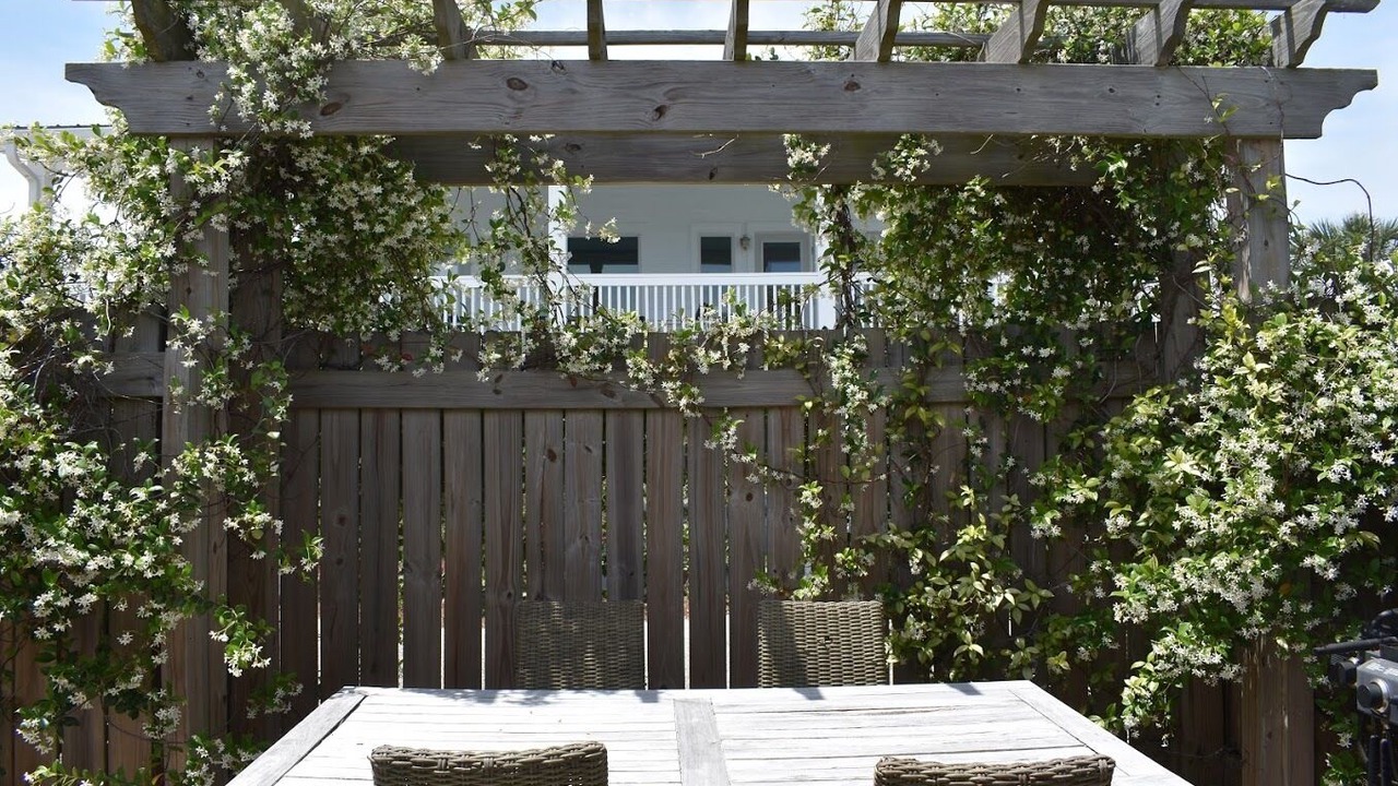 Photo of Outdoor in St. Augustine Beach