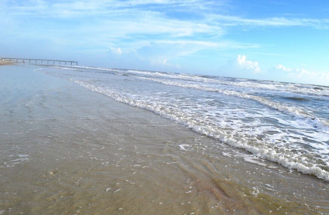 Photo of Others in St. Augustine Beach
