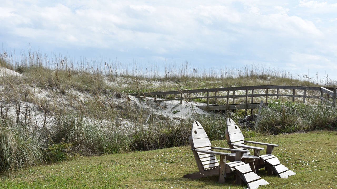 Photo of Outdoor in St. Augustine Beach