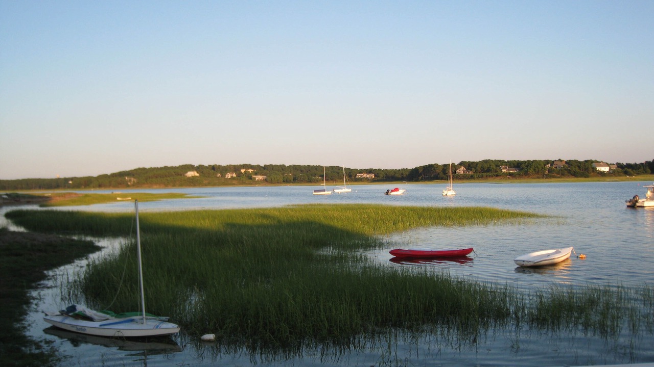Photo of Others in Pleasant Point