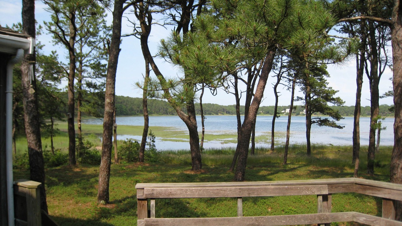 Photo of Others in Pleasant Point