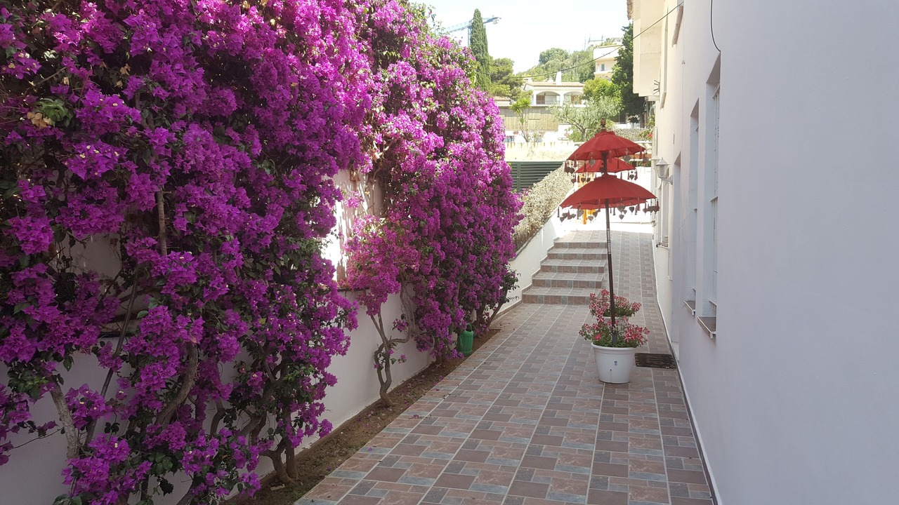 Photo of Outdoor in Sitges