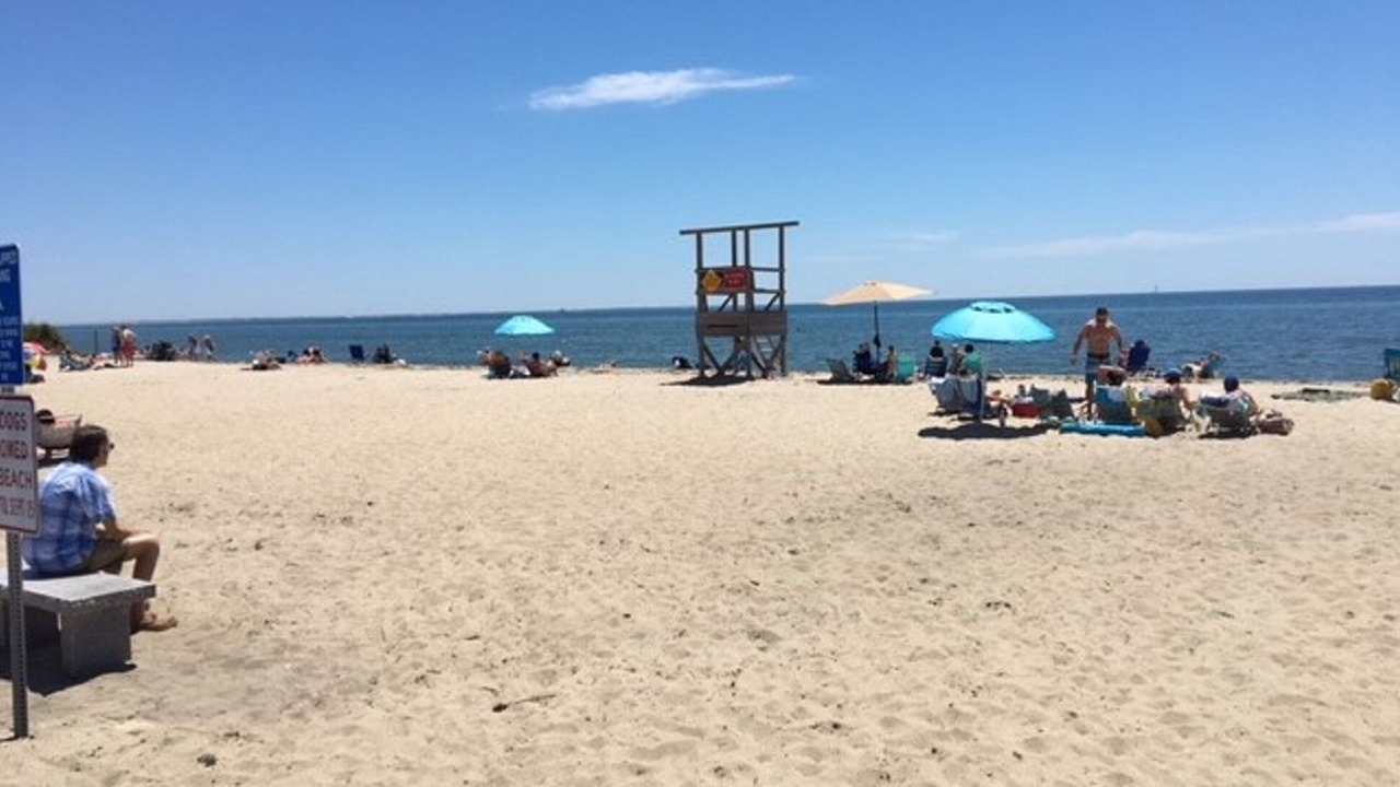 Photo of Others in West Chatham