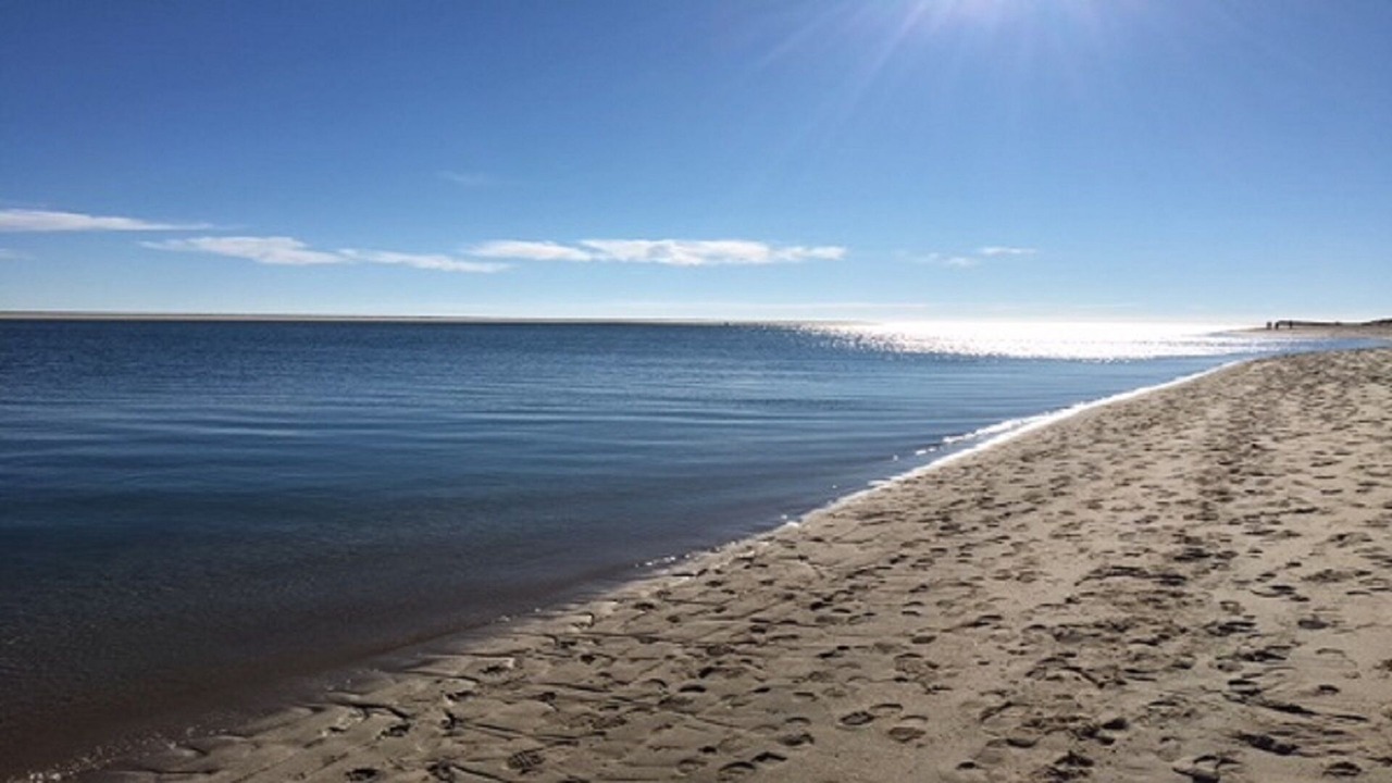 Photo of Others in West Chatham