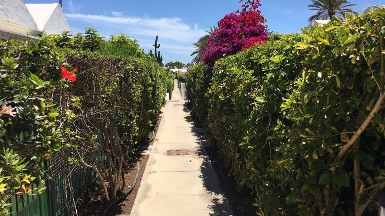 Photo of Outdoor in Maspalomas