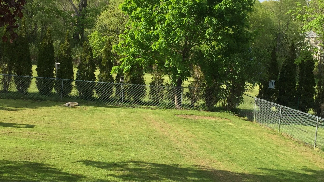 Photo of Others in Adams