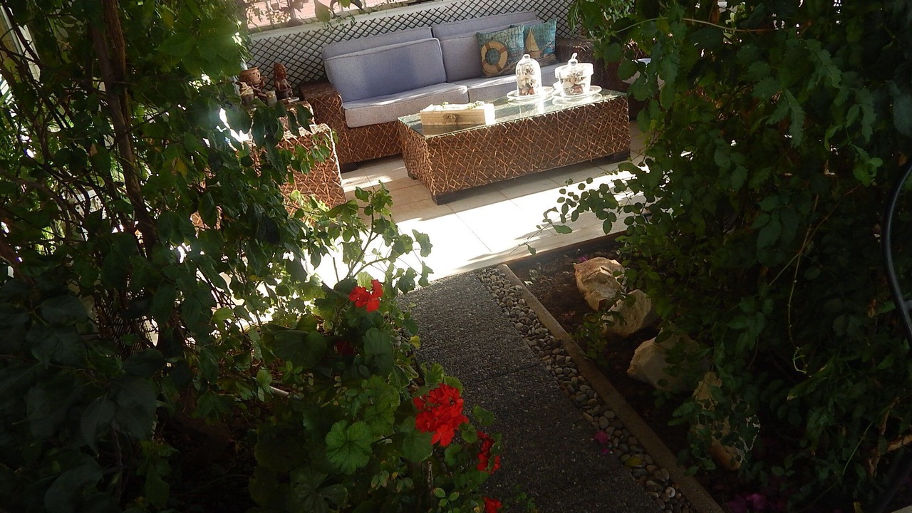 Photo of Outdoor in Dasamari
