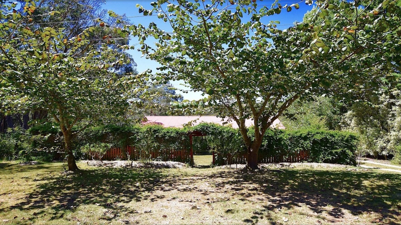 Photo of Outdoor in Katoomba