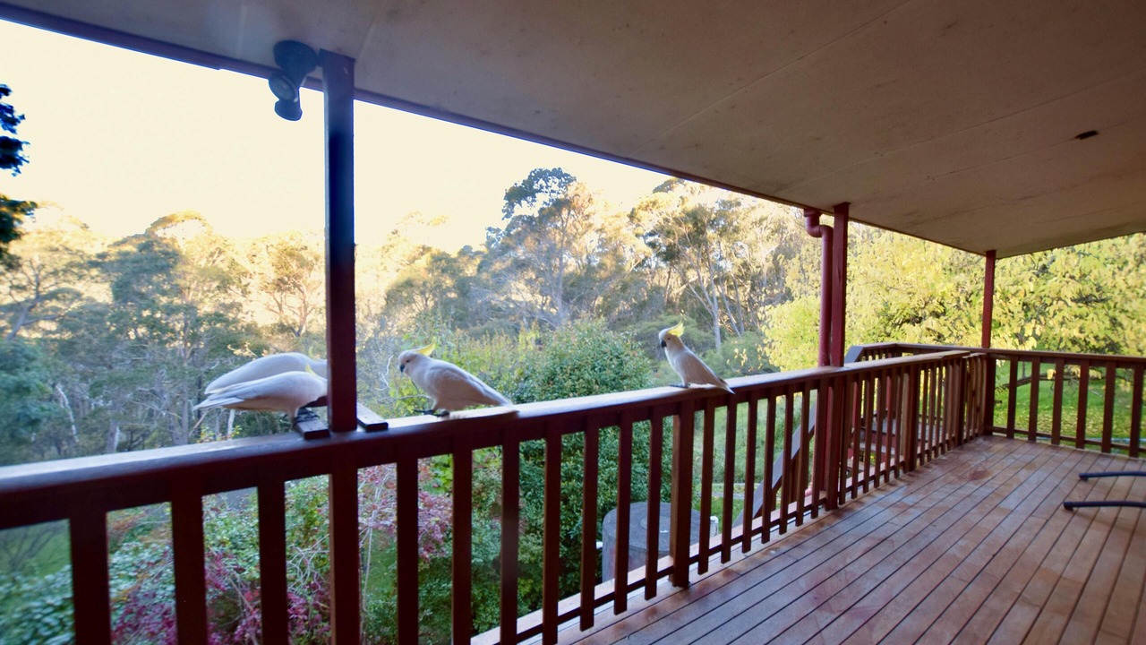 Photo of Outdoor in Katoomba