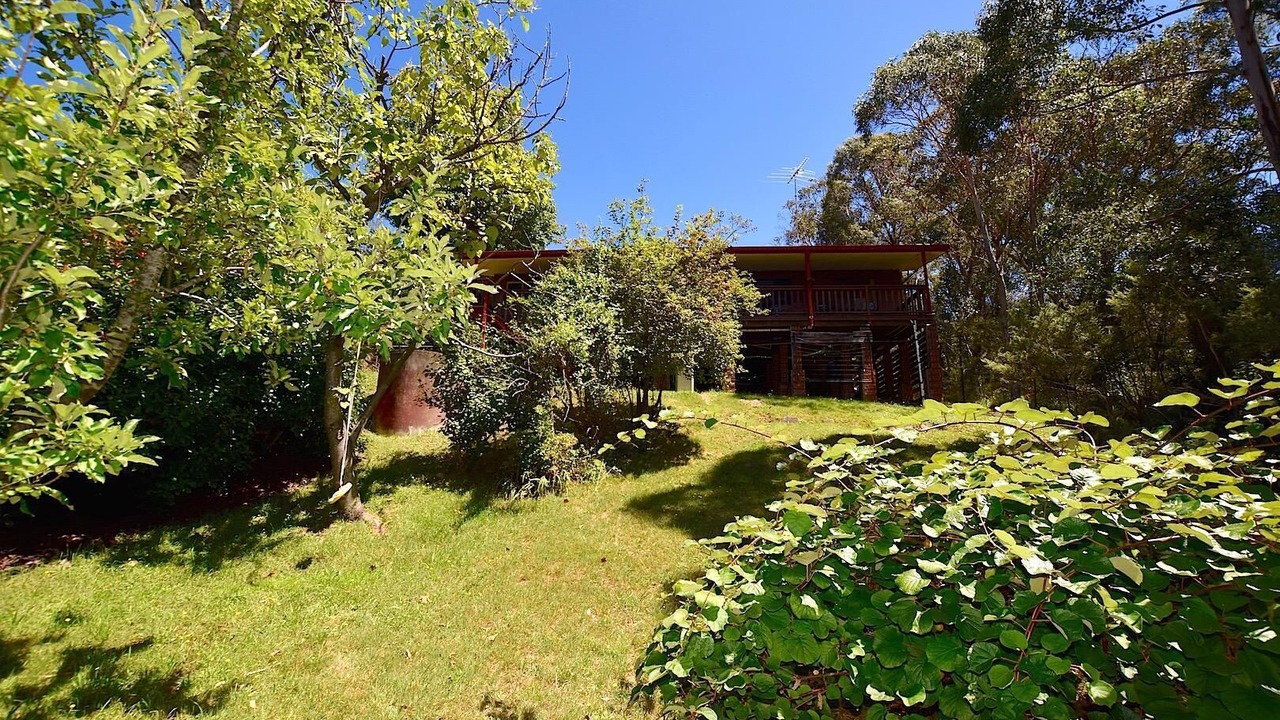Photo of Outdoor in Katoomba