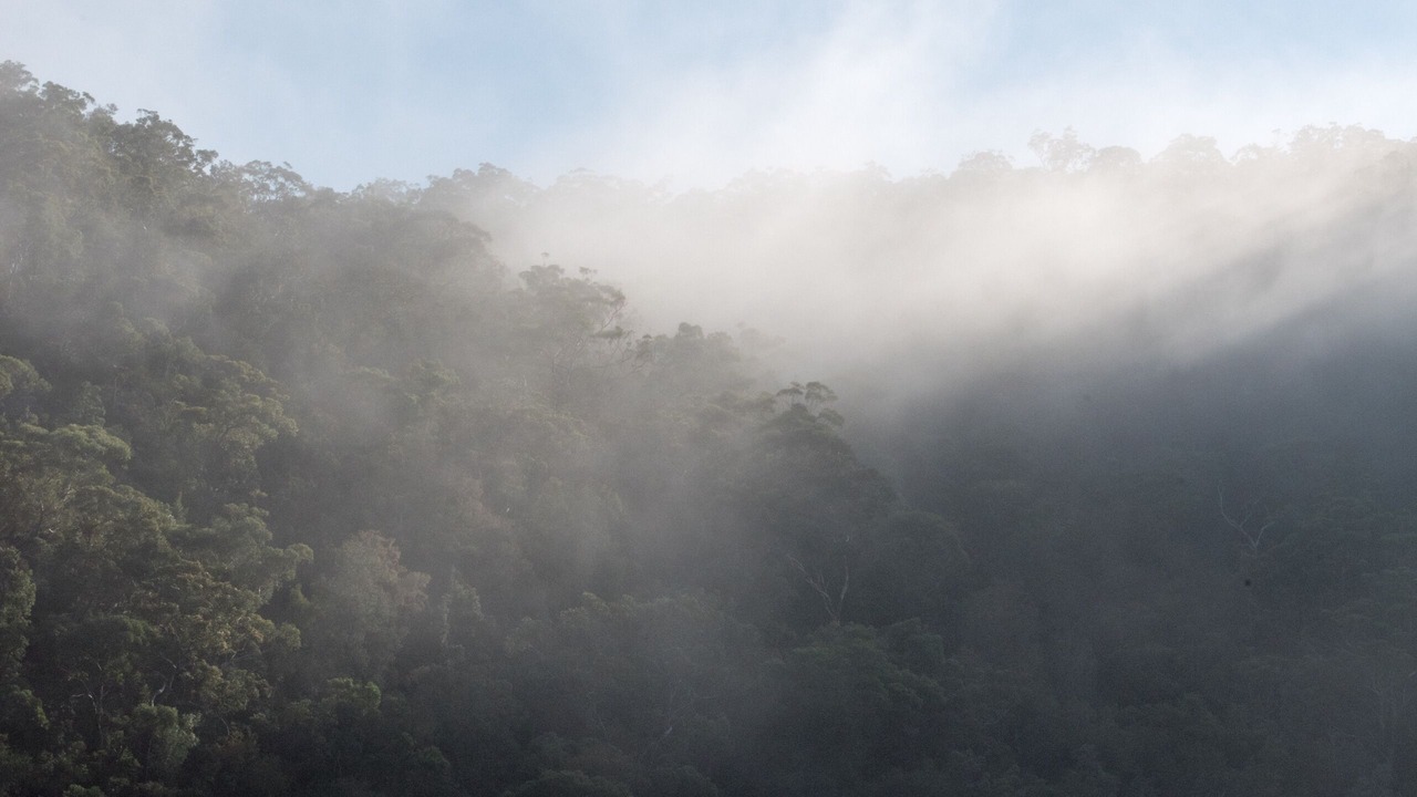 Photo of Others in Berowra Waters