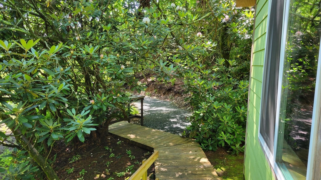 Photo of Others in Laurel Fork