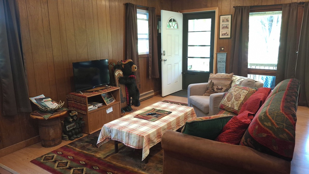 Photo of Livingroom in Olmstedville
