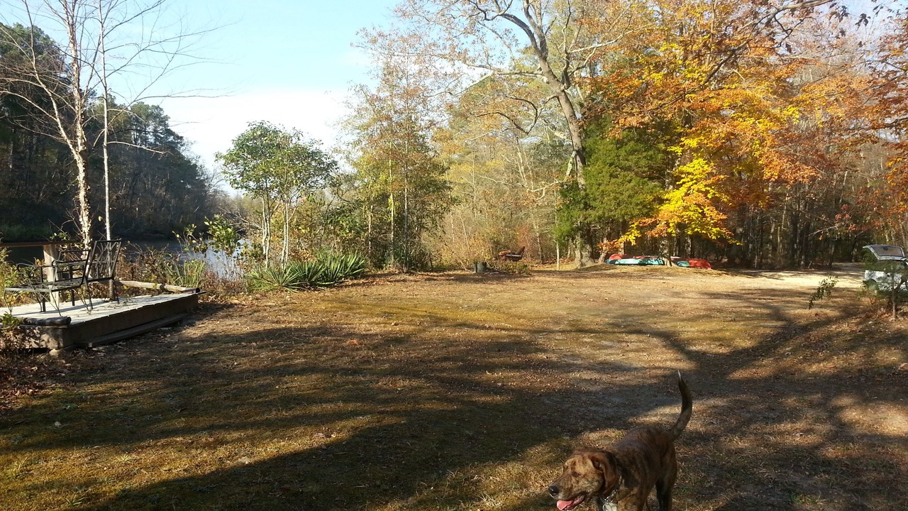Photo of Outdoor in Acquinton