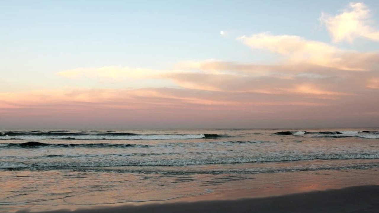 Photo of Others in Butler Beach