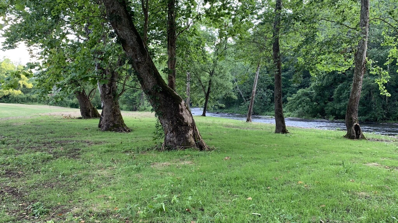 Photo of Others in Hot Springs