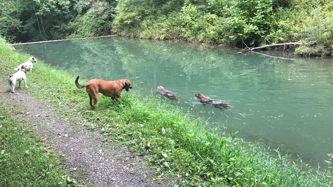 Photo of Others in Hot Springs