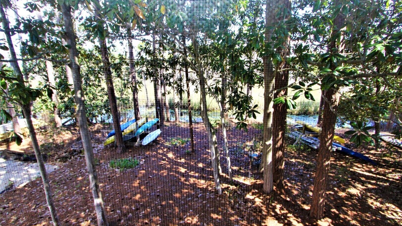 Photo of Outdoor in Seagrove Beach
