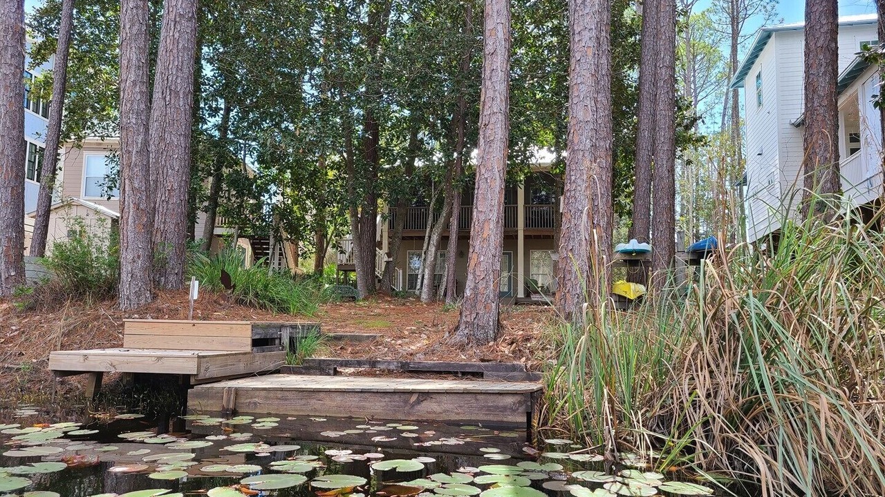 Photo of Outdoor in Seagrove Beach