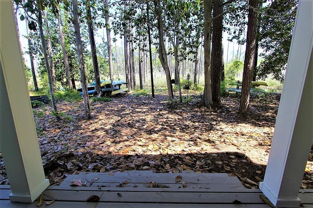 Photo of Outdoor in Seagrove Beach